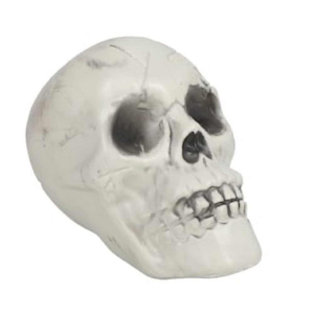 ☠️ DECORATIVE FAUX SKULL ☠️